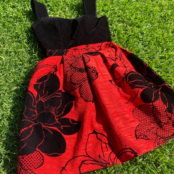 Zara Dresses & Skirts - 🖤Beautiful ZARA Velvet/Carpet 👗❤️✨